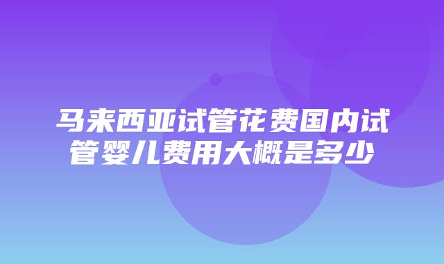 马来西亚试管花费国内试管婴儿费用大概是多少