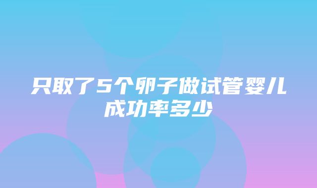 只取了5个卵子做试管婴儿成功率多少