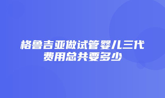 格鲁吉亚做试管婴儿三代费用总共要多少