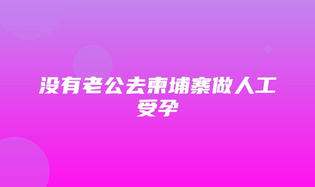 没有老公去柬埔寨做人工受孕