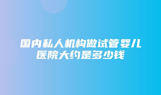 国内私人机构做试管婴儿医院大约是多少钱