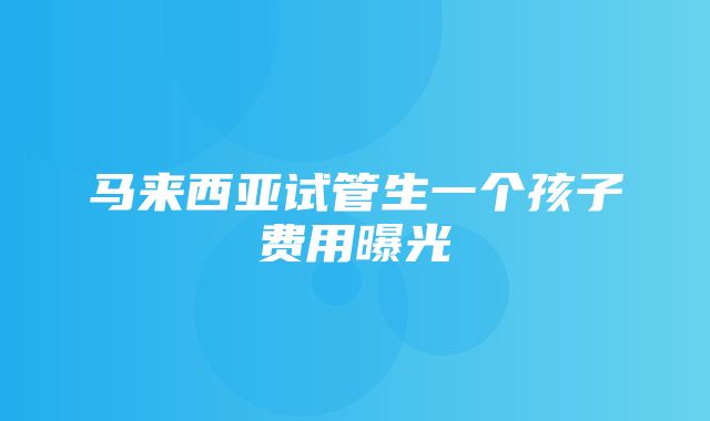 马来西亚试管生一个孩子费用曝光