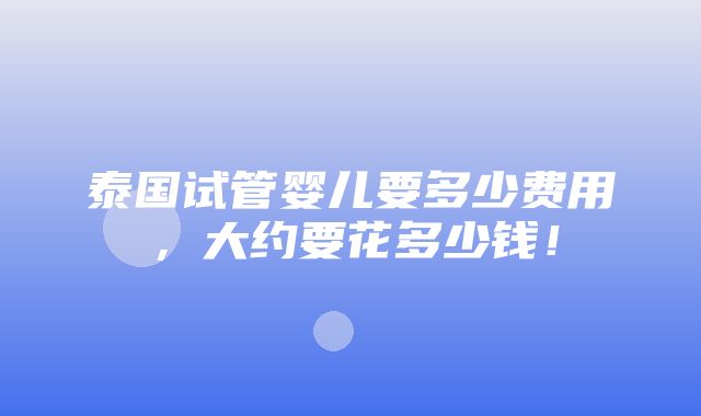 泰国试管婴儿要多少费用，大约要花多少钱！