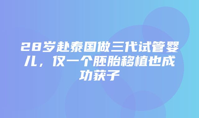 28岁赴泰国做三代试管婴儿，仅一个胚胎移植也成功获子