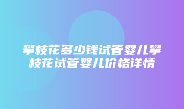 攀枝花多少钱试管婴儿攀枝花试管婴儿价格详情