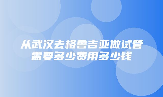 从武汉去格鲁吉亚做试管需要多少费用多少钱