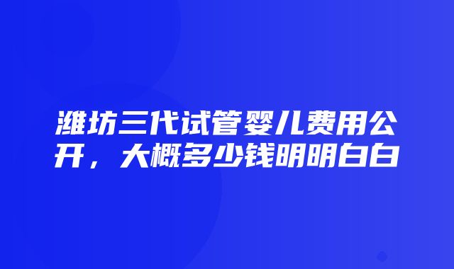 潍坊三代试管婴儿费用公开，大概多少钱明明白白