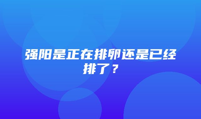 强阳是正在排卵还是已经排了？