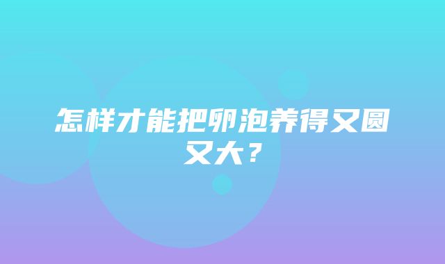 怎样才能把卵泡养得又圆又大？