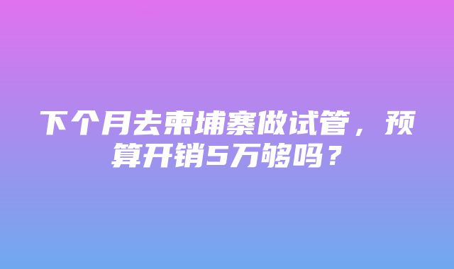 下个月去柬埔寨做试管，预算开销5万够吗？