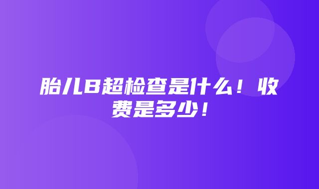 胎儿B超检查是什么！收费是多少！