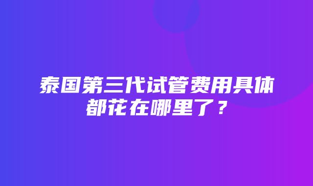 泰国第三代试管费用具体都花在哪里了？