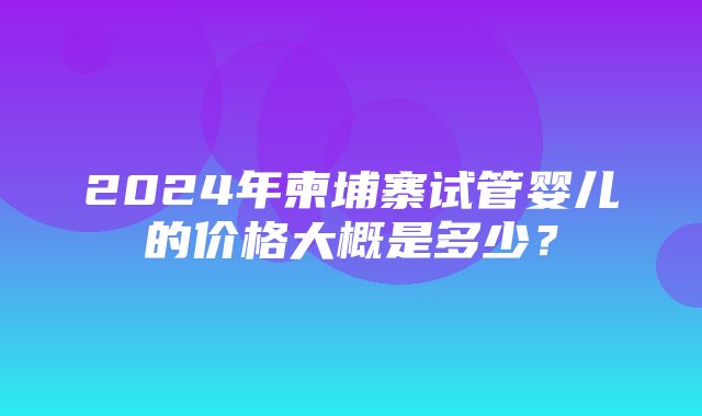 2024年柬埔寨试管婴儿的价格大概是多少？