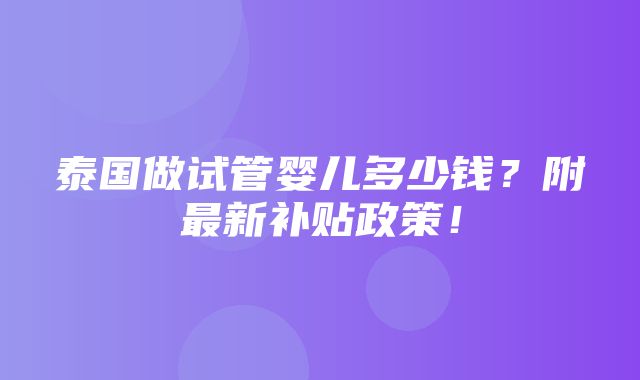 泰国做试管婴儿多少钱？附最新补贴政策！