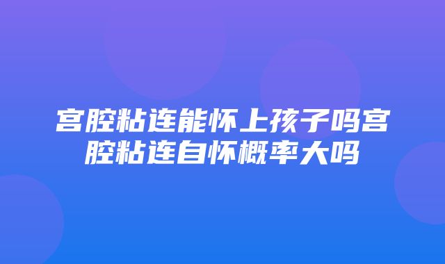 宫腔粘连能怀上孩子吗宫腔粘连自怀概率大吗