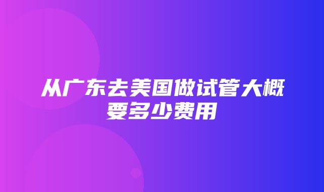 从广东去美国做试管大概要多少费用