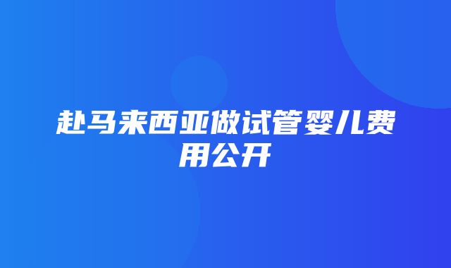 赴马来西亚做试管婴儿费用公开