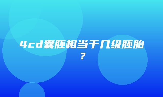 4cd囊胚相当于几级胚胎？