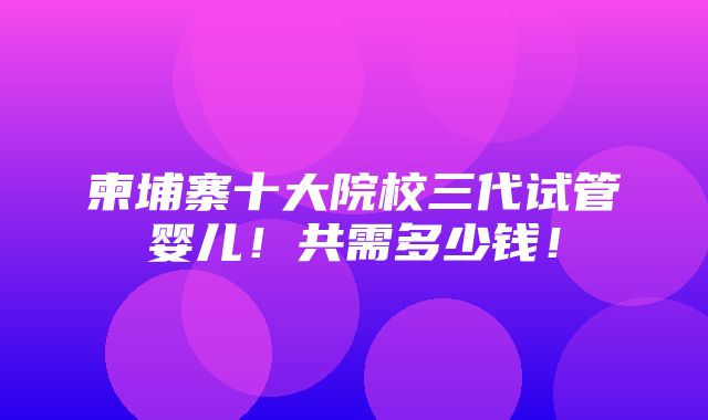 柬埔寨十大院校三代试管婴儿！共需多少钱！