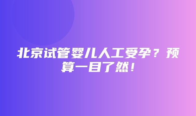 北京试管婴儿人工受孕？预算一目了然！