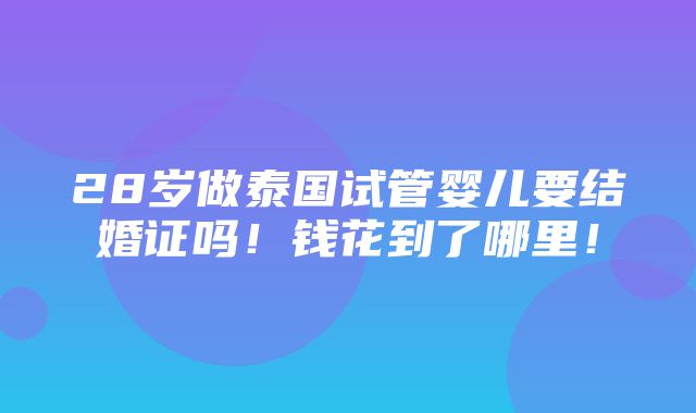 28岁做泰国试管婴儿要结婚证吗！钱花到了哪里！