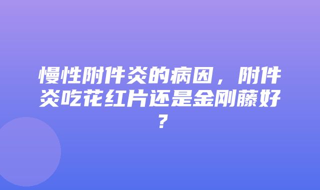 慢性附件炎的病因，附件炎吃花红片还是金刚藤好？