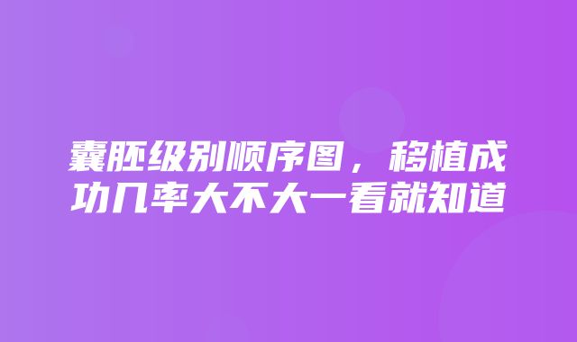 囊胚级别顺序图，移植成功几率大不大一看就知道