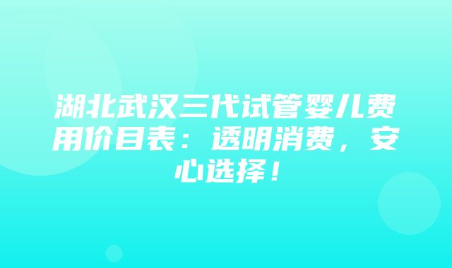 湖北武汉三代试管婴儿费用价目表：透明消费，安心选择！