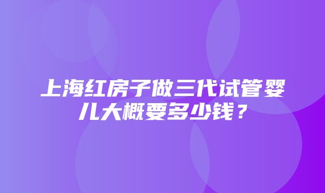 上海红房子做三代试管婴儿大概要多少钱？