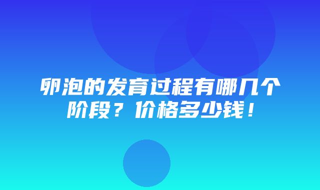 卵泡的发育过程有哪几个阶段？价格多少钱！