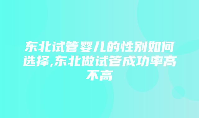 东北试管婴儿的性别如何选择,东北做试管成功率高不高