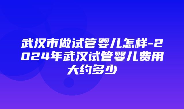 武汉市做试管婴儿怎样-2024年武汉试管婴儿费用大约多少