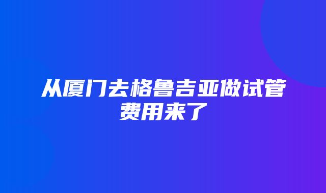 从厦门去格鲁吉亚做试管费用来了