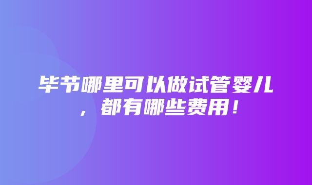 毕节哪里可以做试管婴儿，都有哪些费用！