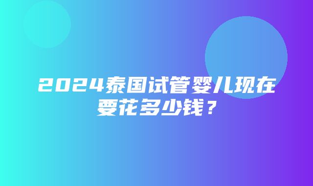 2024泰国试管婴儿现在要花多少钱？