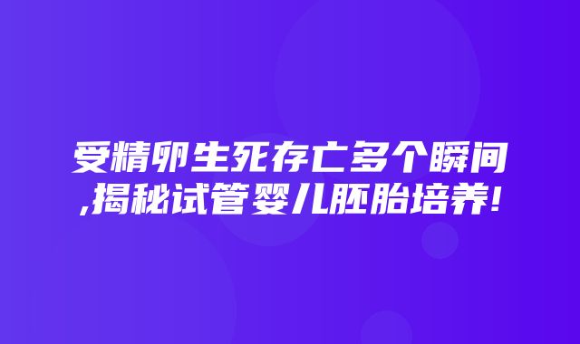 受精卵生死存亡多个瞬间,揭秘试管婴儿胚胎培养!