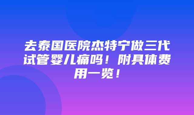 去泰国医院杰特宁做三代试管婴儿痛吗！附具体费用一览！