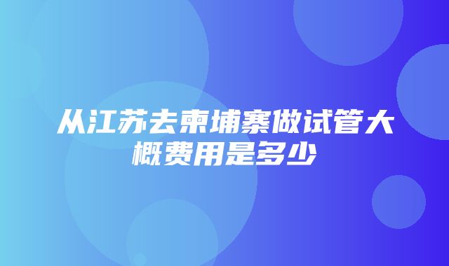 从江苏去柬埔寨做试管大概费用是多少