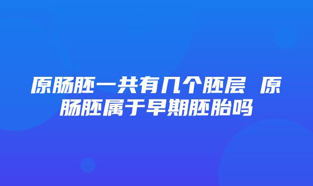 原肠胚一共有几个胚层 原肠胚属于早期胚胎吗