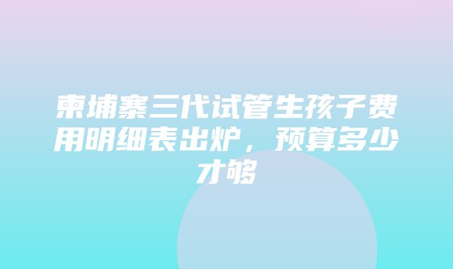 柬埔寨三代试管生孩子费用明细表出炉，预算多少才够