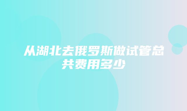 从湖北去俄罗斯做试管总共费用多少