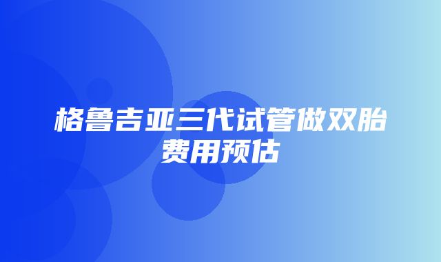 格鲁吉亚三代试管做双胎费用预估