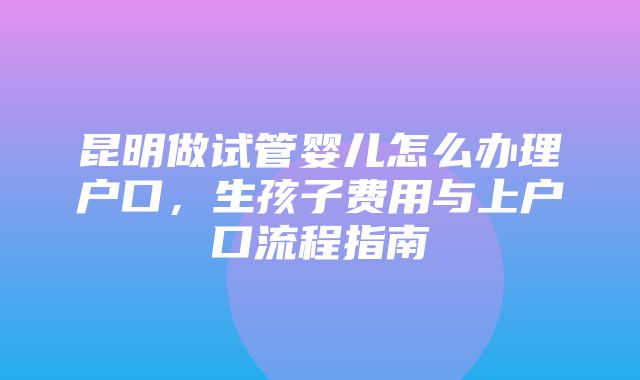 昆明做试管婴儿怎么办理户口，生孩子费用与上户口流程指南