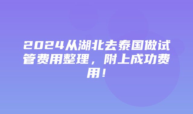 2024从湖北去泰国做试管费用整理，附上成功费用！