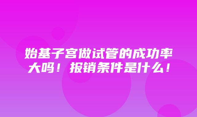 始基子宫做试管的成功率大吗！报销条件是什么！