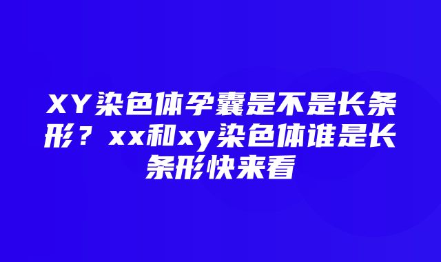 XY染色体孕囊是不是长条形？xx和xy染色体谁是长条形快来看