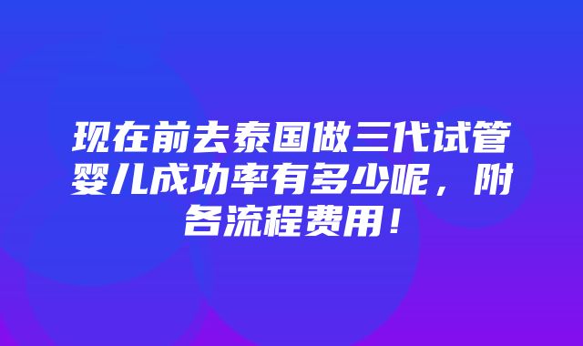 现在前去泰国做三代试管婴儿成功率有多少呢，附各流程费用！