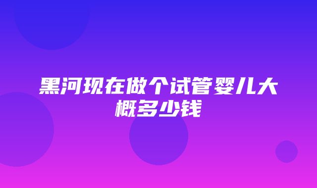 黑河现在做个试管婴儿大概多少钱