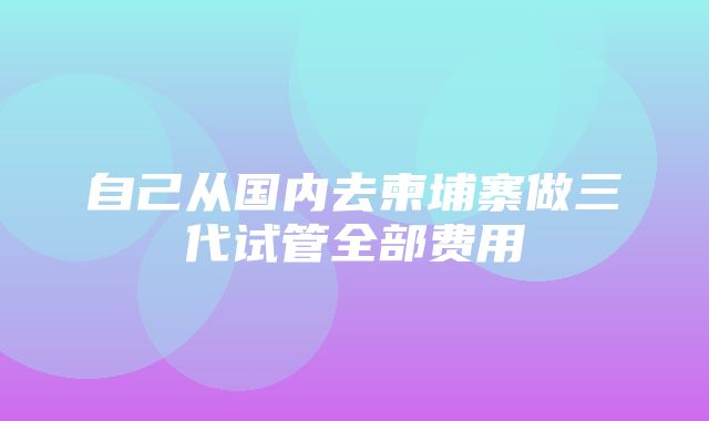 自己从国内去柬埔寨做三代试管全部费用