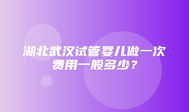 湖北武汉试管婴儿做一次费用一般多少？